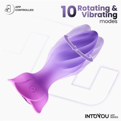 Moxy 360º Anal Plug with App Clave 50
