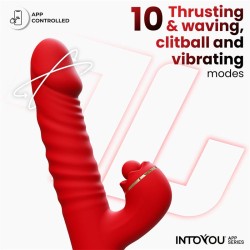 Ascen Thrusting & Waving Vibe App Red Cl 18