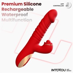 Ascen Thrusting & Waving Vibe App Red Cl 18