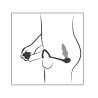 Rebel RC Butt Plug with Cock & Ball Rings